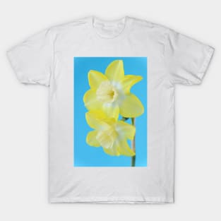 Narcissus  &#39;Pipit&#39;    Division 7 Jonquilla  Daffodil T-Shirt